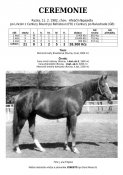Ceremonie-82w