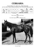 Cerkaria-83-tx-w