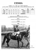 Cessia-91w