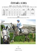 Cetar-11w