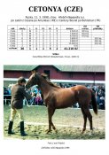Cetonya-98w