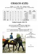 Chalco-92w
