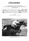 Chaldero-84-at-w
