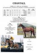 Chantall-89w