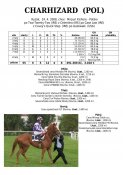 Charhizard_pol_08w