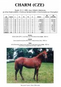 Charm-cze-95-alt-w