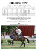 Charros-11w