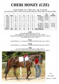 Cheri-honey-06w