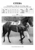 Citera-88w
