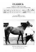 Clasica-86-agadir-w