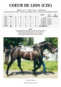 Coeur-de-lion-98-dm