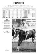 Condor-74-rd-w