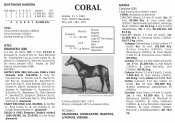 Coral20