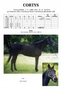 Cortys-86w