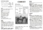 Corvet-k