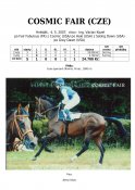 Cosmic-fair-07w