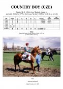Country-boy-94-ads-w
