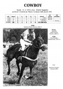 Cowboy-74-w