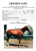 Cracken-96-ads-w