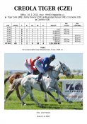Creola_tiger-10w