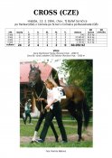 Cross-94w