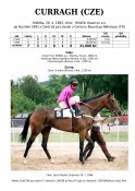Curragh-93w
