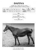 Dafina-83-agadir-w