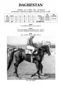 Daghestan-90w