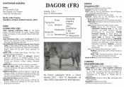Dagor-k