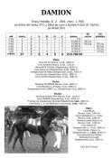 Damion-91-ads-w