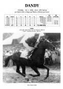 Dandy-83-w