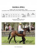 Danka-pol-07w