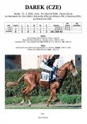 Darek-02w