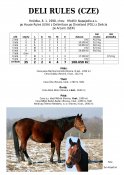 Deli-rules-98w