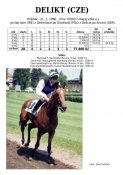 Delikt-96w