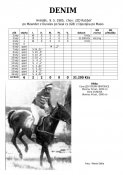 Denim-85w