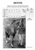 Dentin-77w