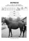 Deprese-80w