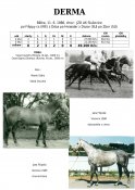 Derma-86w