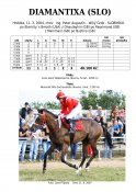 Diamantixa-slo-04w