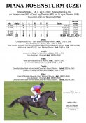 Diana-rosensturm-11w