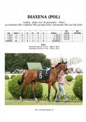 Diaxena-pol-09w
