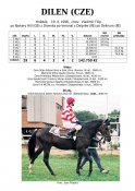 Dilen-96_rh-w