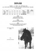 Dinar-64-la-w