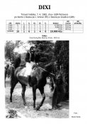 Dixi_82w