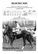 Dlouha-noc-90-ads-w