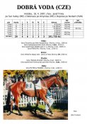 Dobra-voda-97w