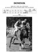 Dominik-87w