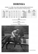 Dorinka-84w