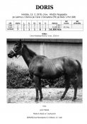 Doris-78w